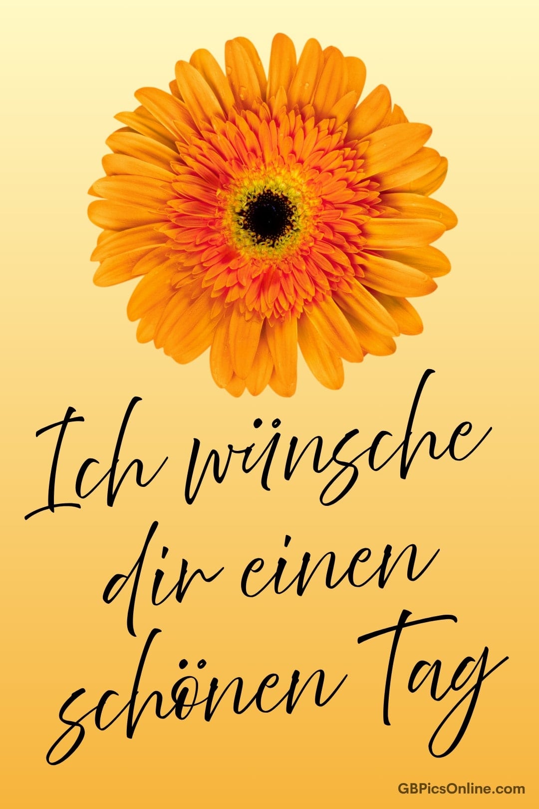 Eine orangefarbene Gerbera auf gelbem Hintergrund mit Wünschen für einen schönen Tag