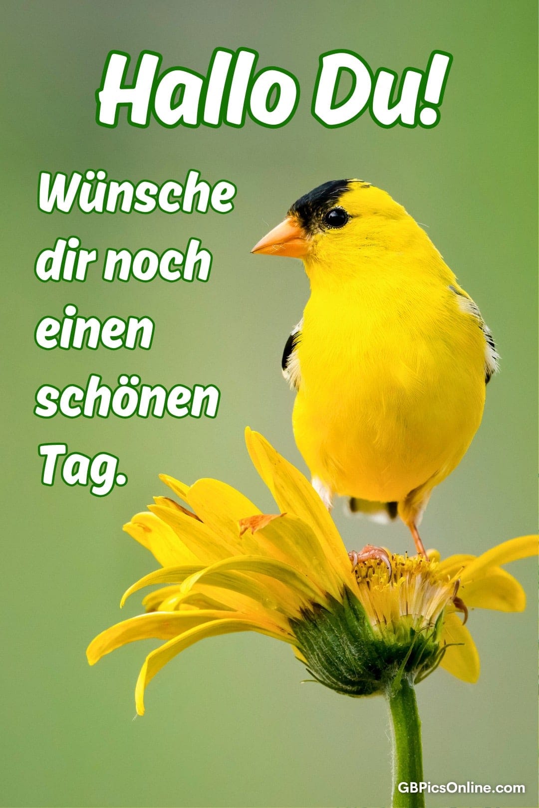 Schönen Tag bild 12