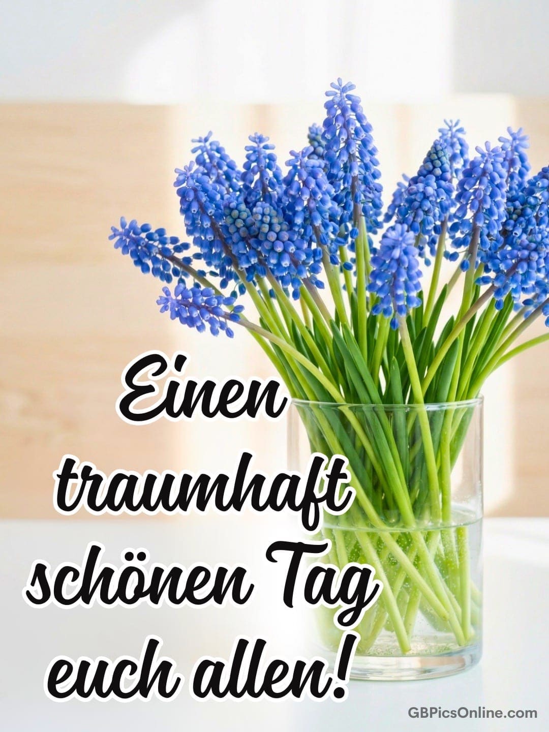 Blaue Traubenhyazinthen in einem Glas mit Wasser, dazu Grußtext vor hellem Hintergrund