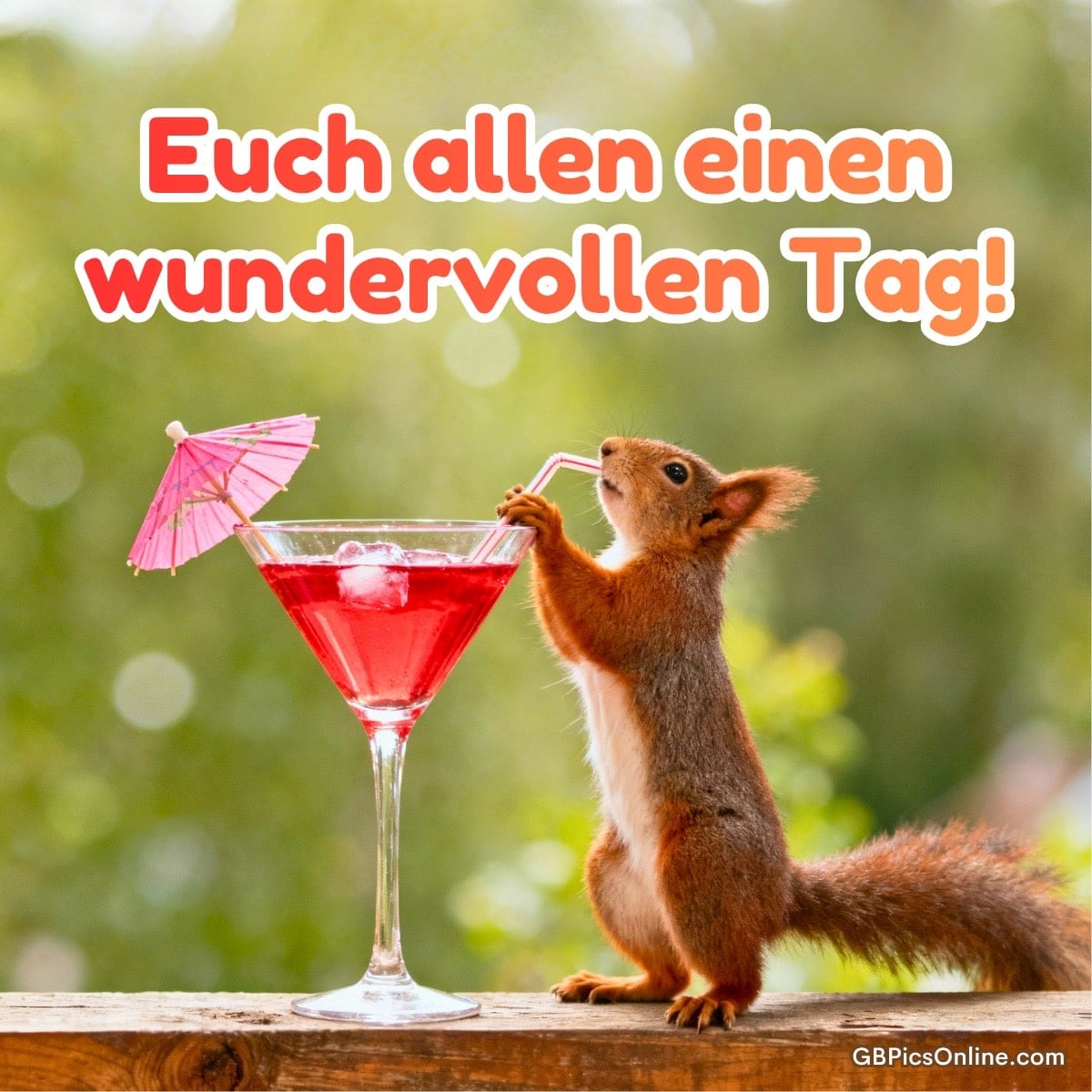Eichhörnchen trinkt mit Strohhalm aus rotem Cocktailglas mit Sonnenschirmchen vor grünem Hintergrund