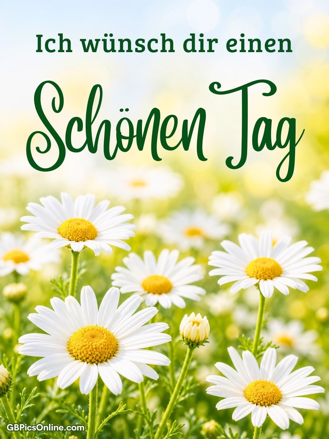 Schönen Tag bild