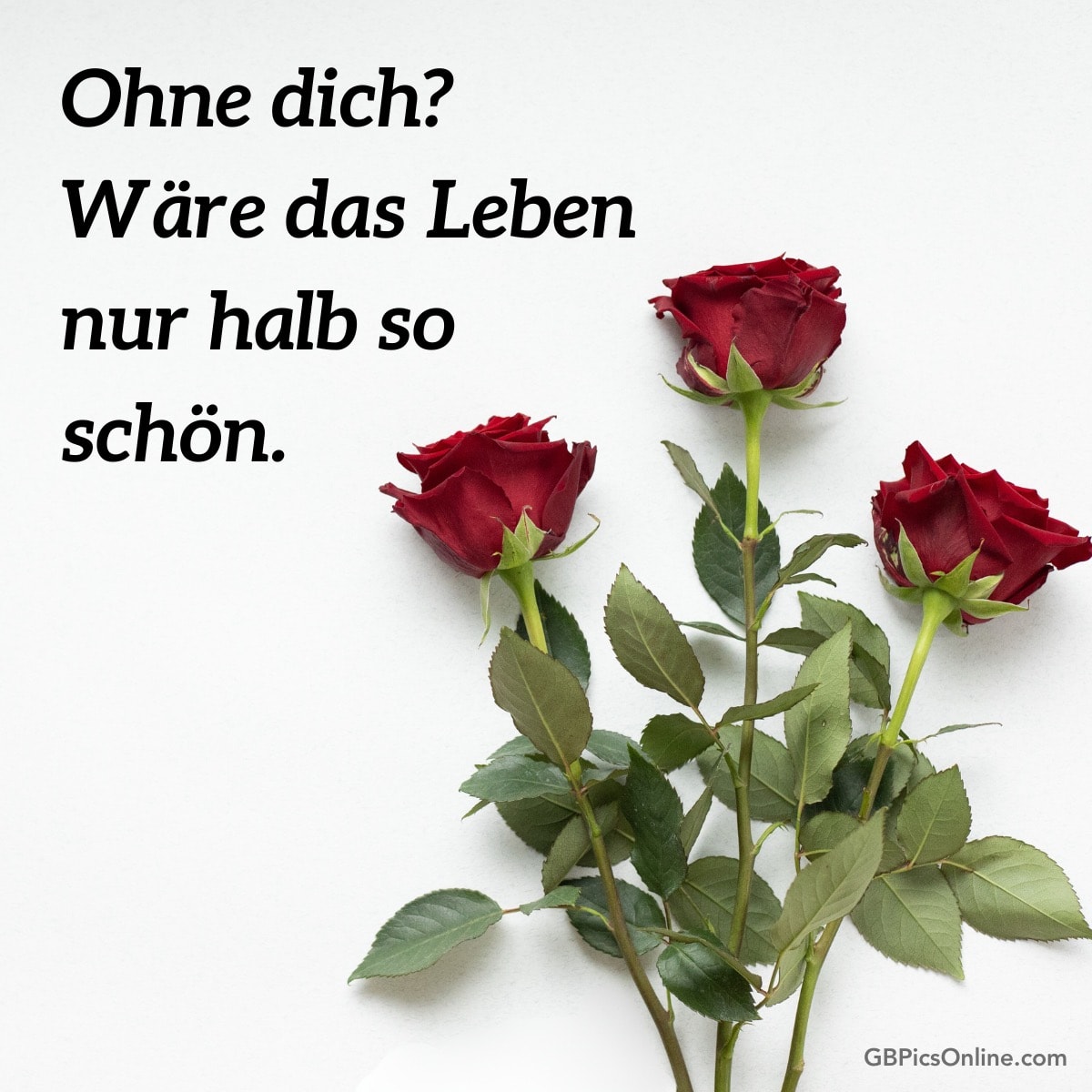 Rote Rosen mit Text: „Ohne dich? Wäre das Leben nur halb so schön.“