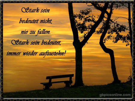 Featured image of post Lustige Bilder Mit Spr chen Kostenlos Entdecke sch ne bilder mit spruch f r deinen wohnraum