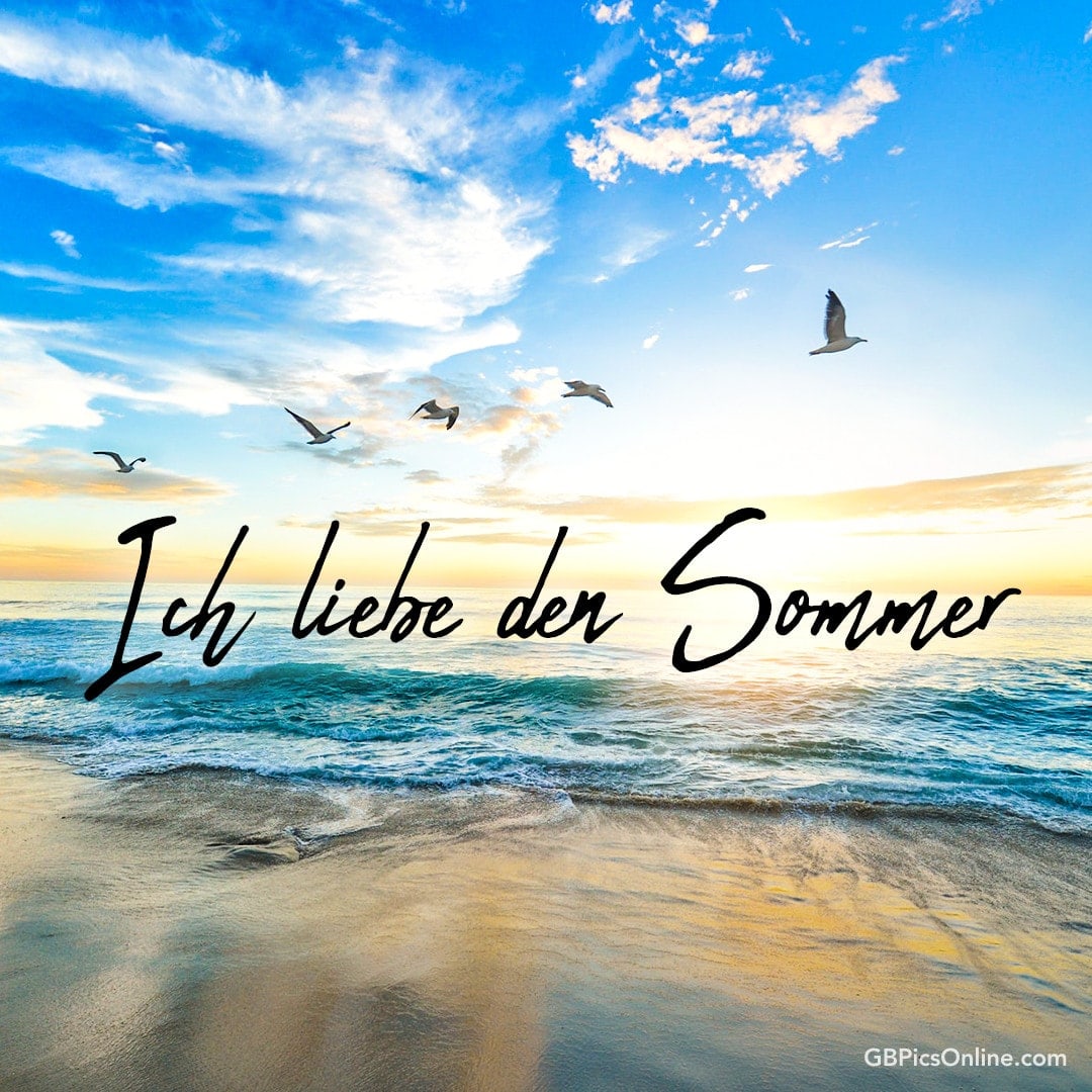 Sonnenuntergang am Strand mit Möwen und „Ich liebe den Sommer“ Text
