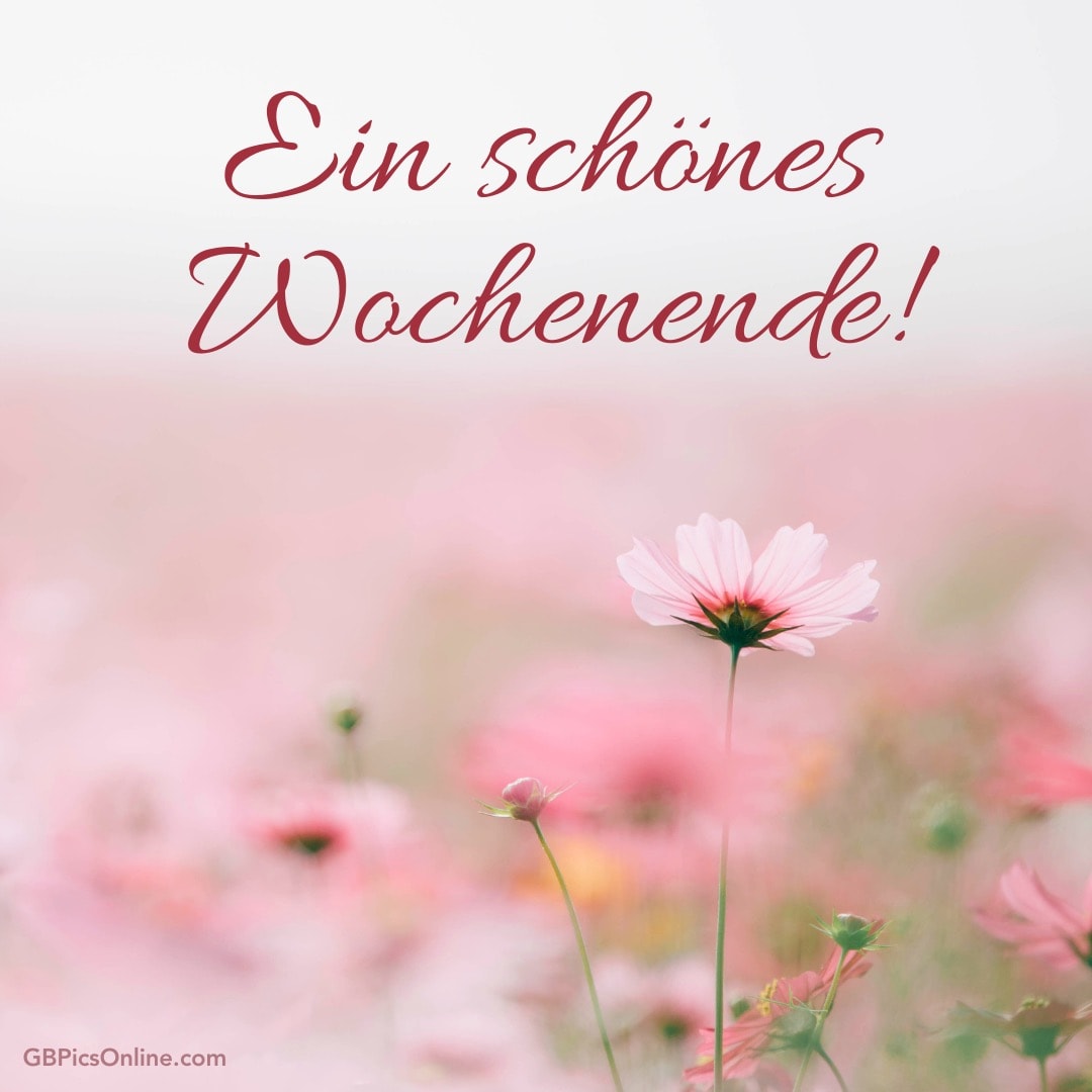 Blühende Blumen mit dem Text „Ein schönes Wochenende!“