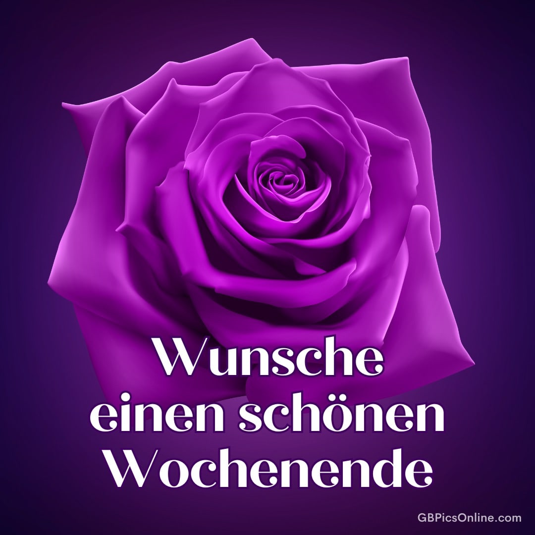 Eine purpurfarbene Rose mit dem Text „Wünsche einen schönen Wochenende“ darauf