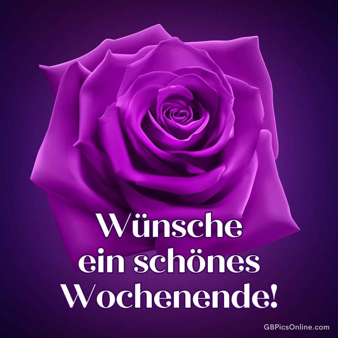Lila Rose mit dem Text „Wünsche ein schönes Wochenende!“ auf lila Hintergrund