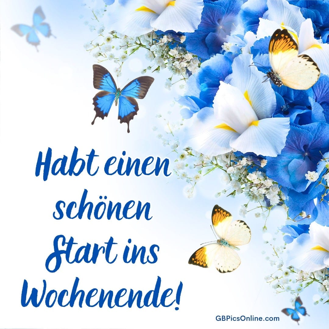 Blaue und weiße Blumen mit Schmetterlingen, Text: „Habt einen schönen Start ins Wochenende!“