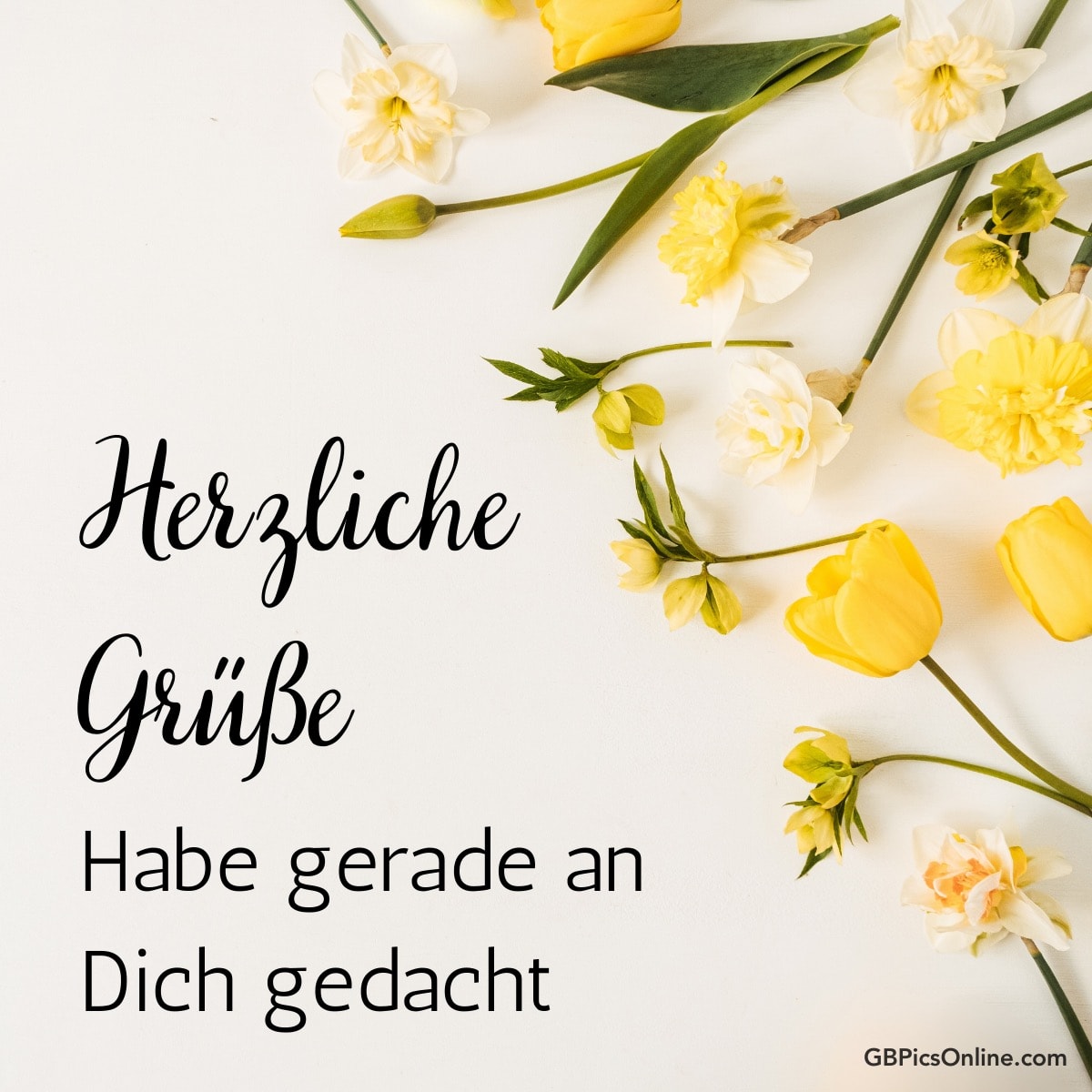 Gelbe Tulpen und Narzissen mit der Aufschrift „Herzliche Grüße, Habe gerade an Dich gedacht“