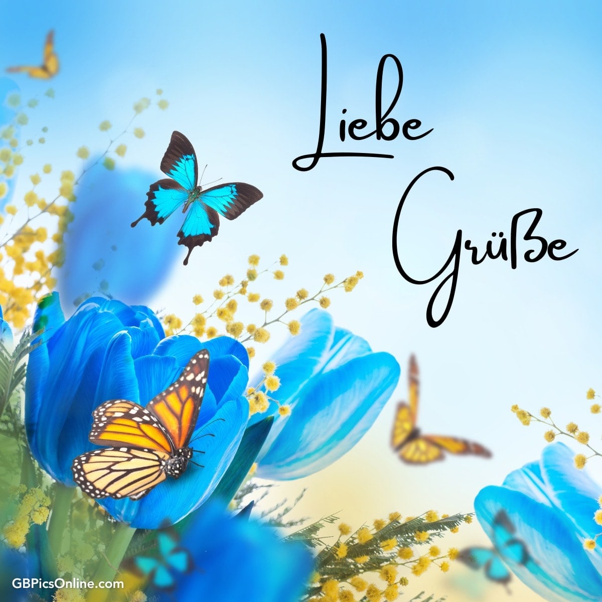 Blaue Blumen, Schmetterlinge und „Liebe Grüße“ Text