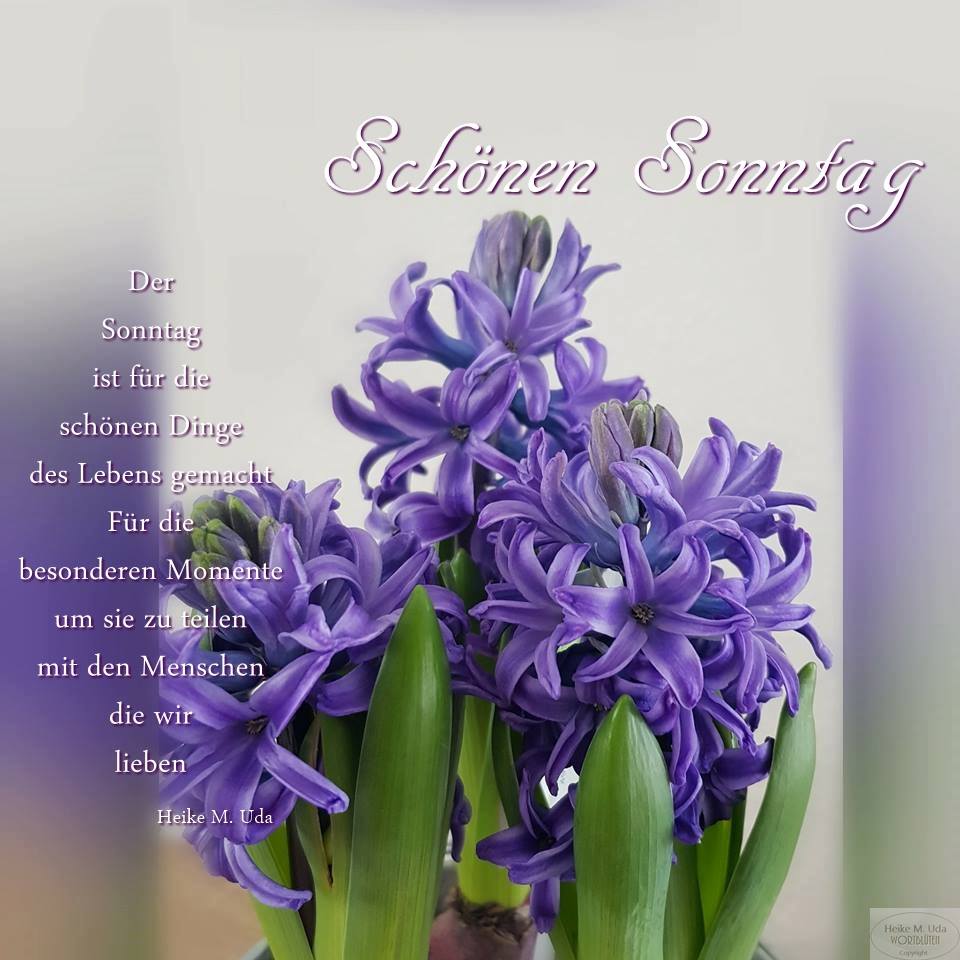 Sonntag Bilder F r Whatsapp Und Zum Teilen GBPicsOnline