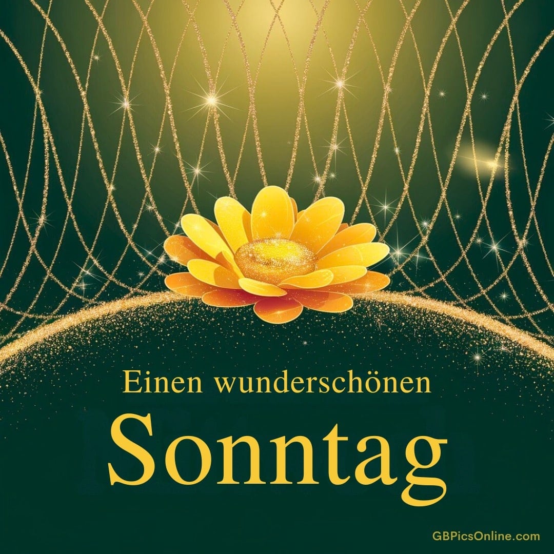 Glitzernde Linien und eine goldene Blume mit dem Wunsch „Einen wunderschönen Sonntag“