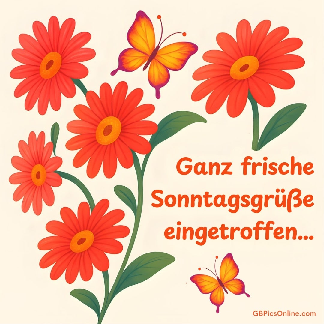 Rote Blumen und Schmetterlinge mit dem Text „Ganz frische Sonntagsgrüße eingetroffen…“