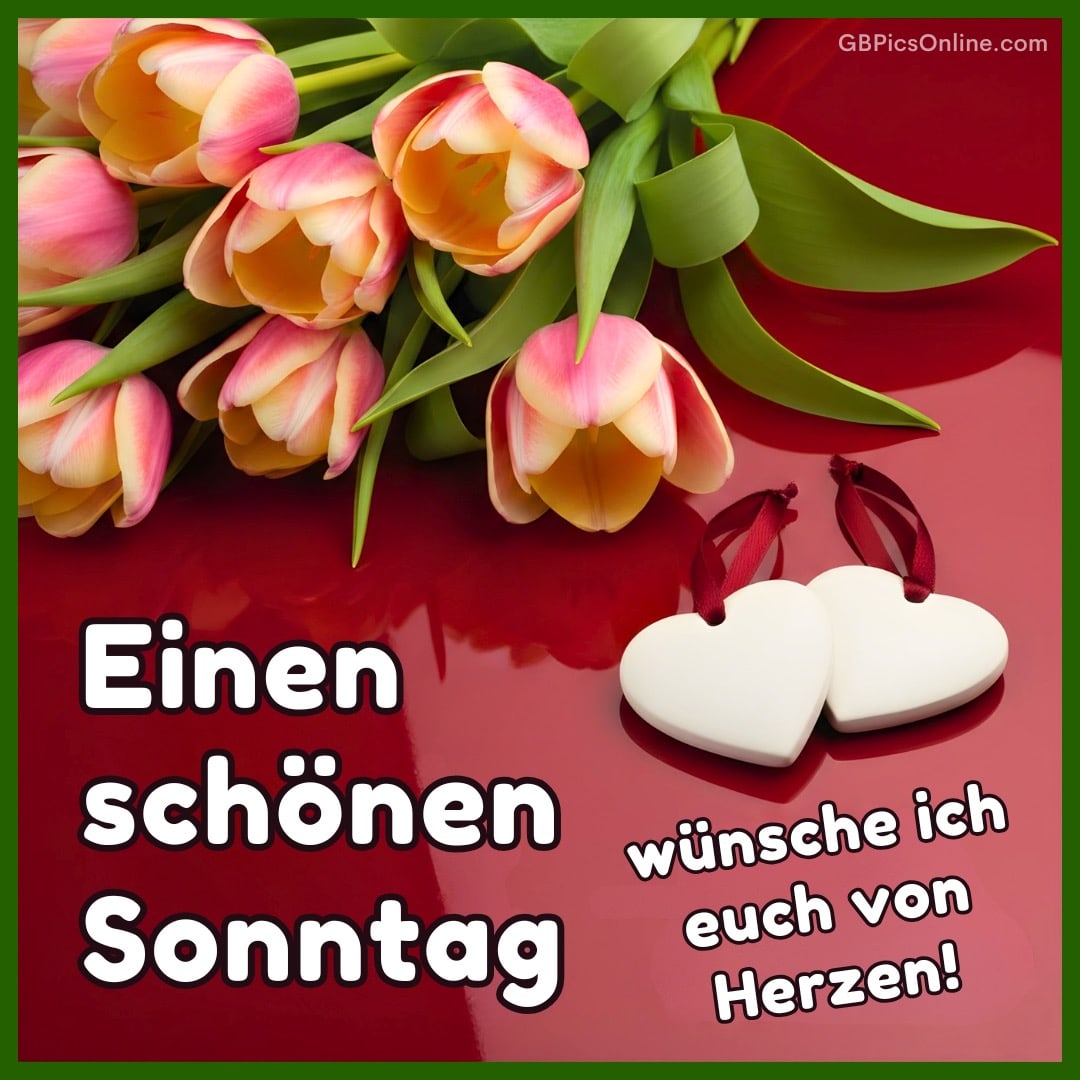 Tulpen auf rotem Untergrund mit zwei weißen Herzanhängern und Sonntagsgruß
