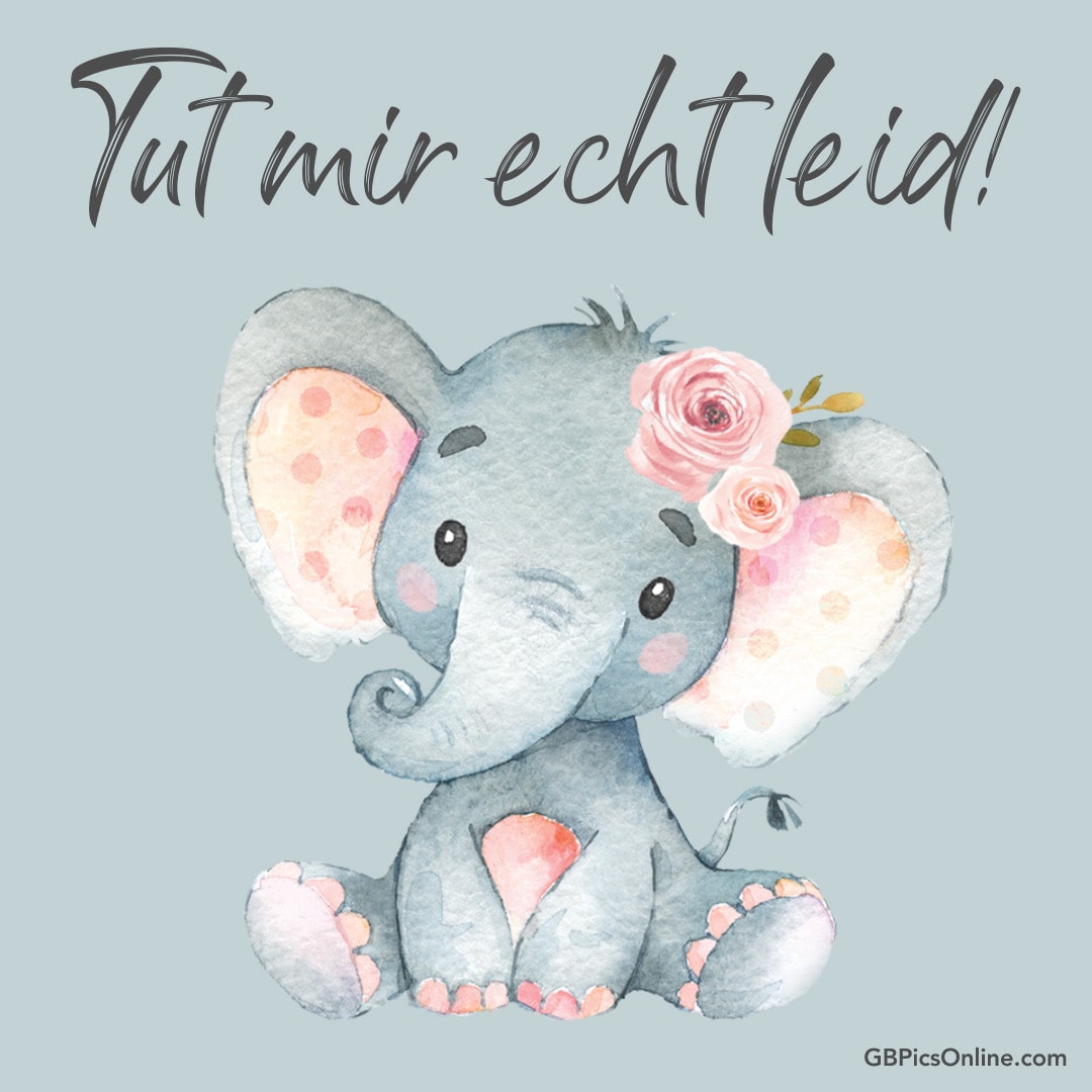 Niedlicher Elefant mit Rosen und „Tut mir echt leid!“ Text