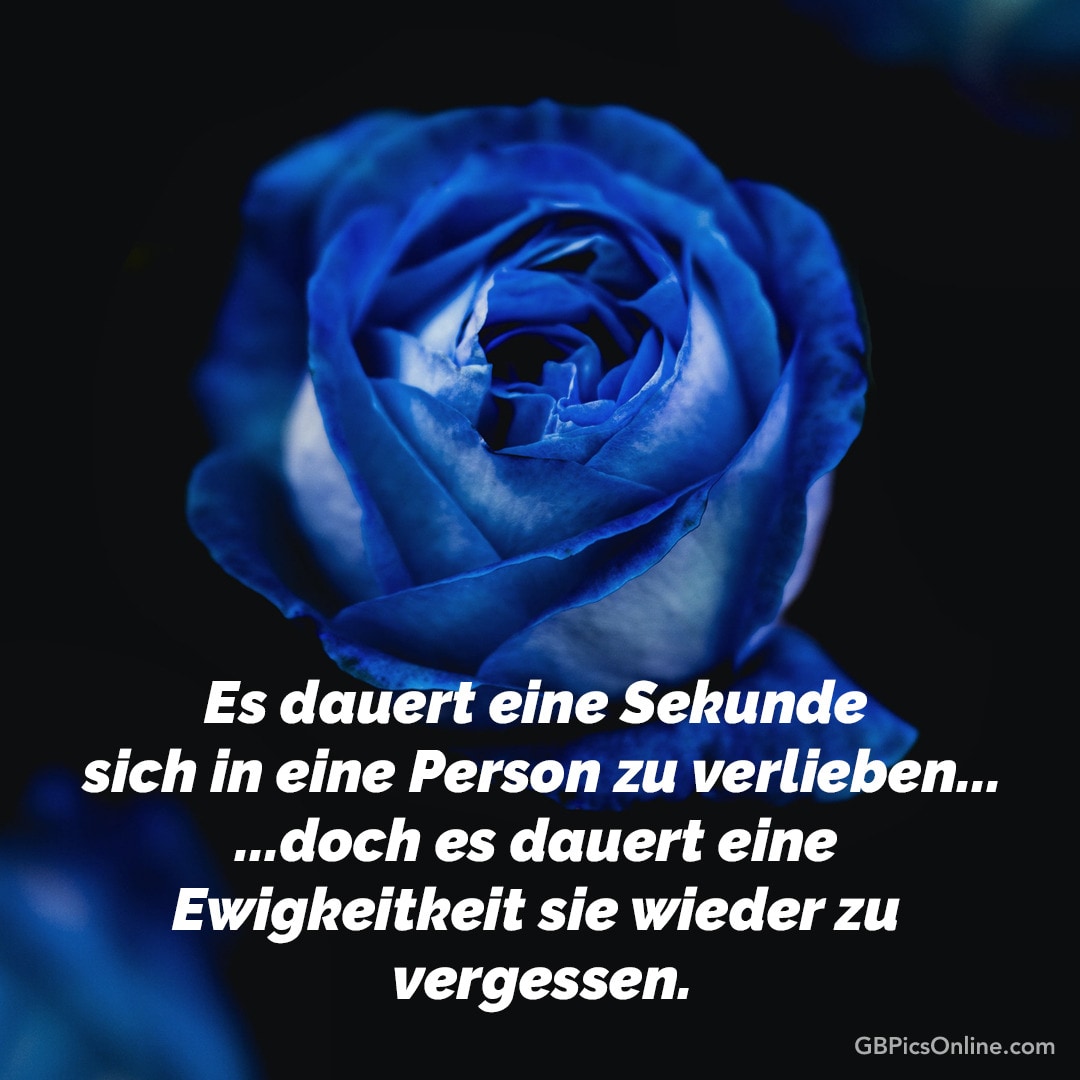 Eine blaue Rose mit sentimentalem Text