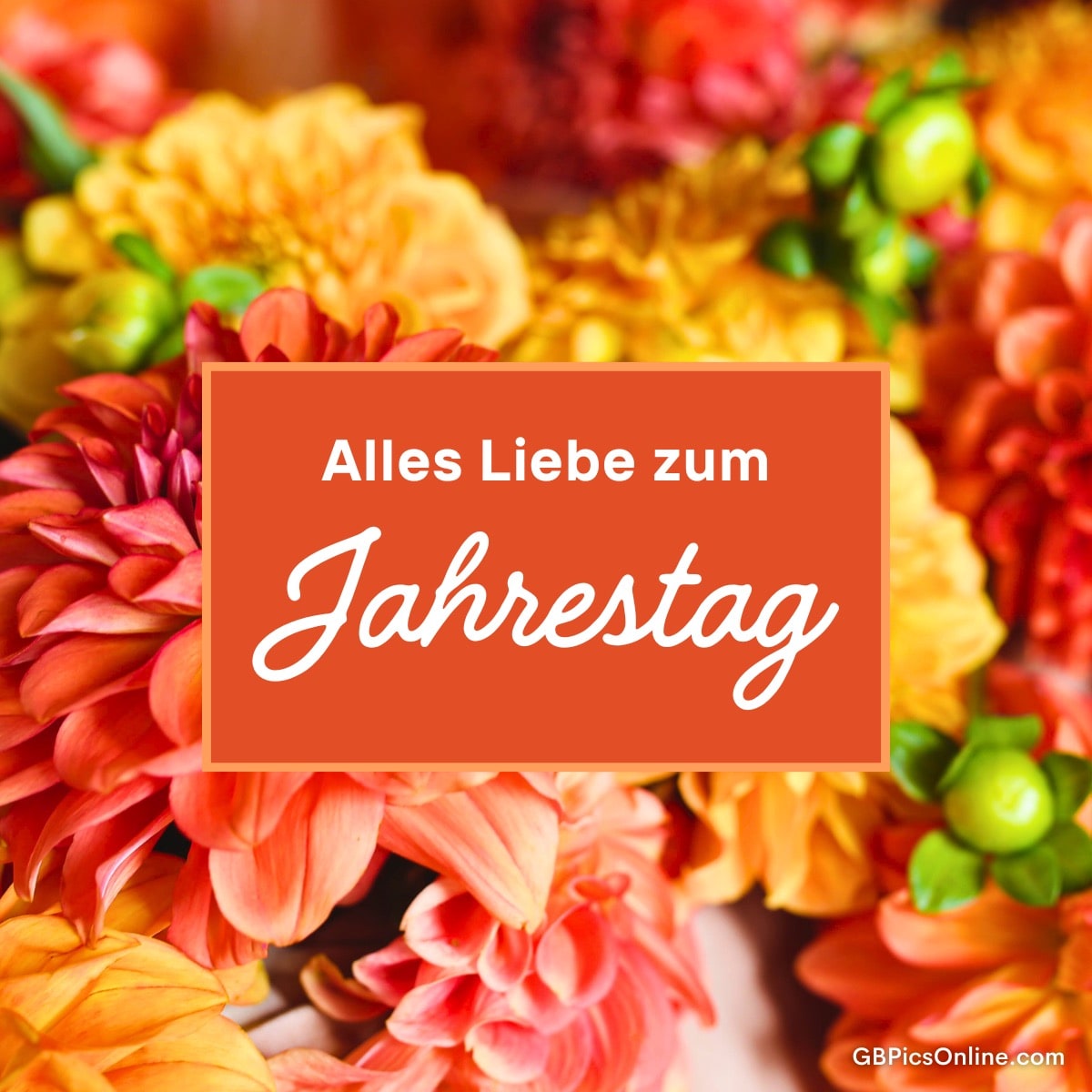 Bunter Blumenhintergrund mit Text „Alles Liebe zum Jahrestag“