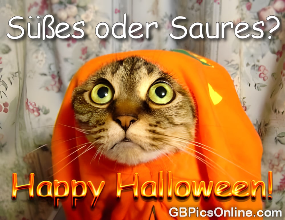 Süßes oder saures? Happy Halloween!