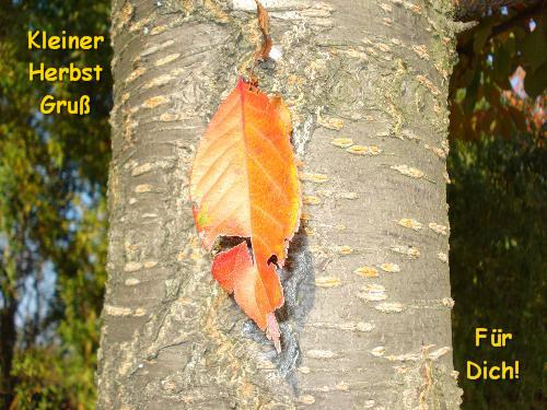 Herbst bild 10 Herbst bild 10