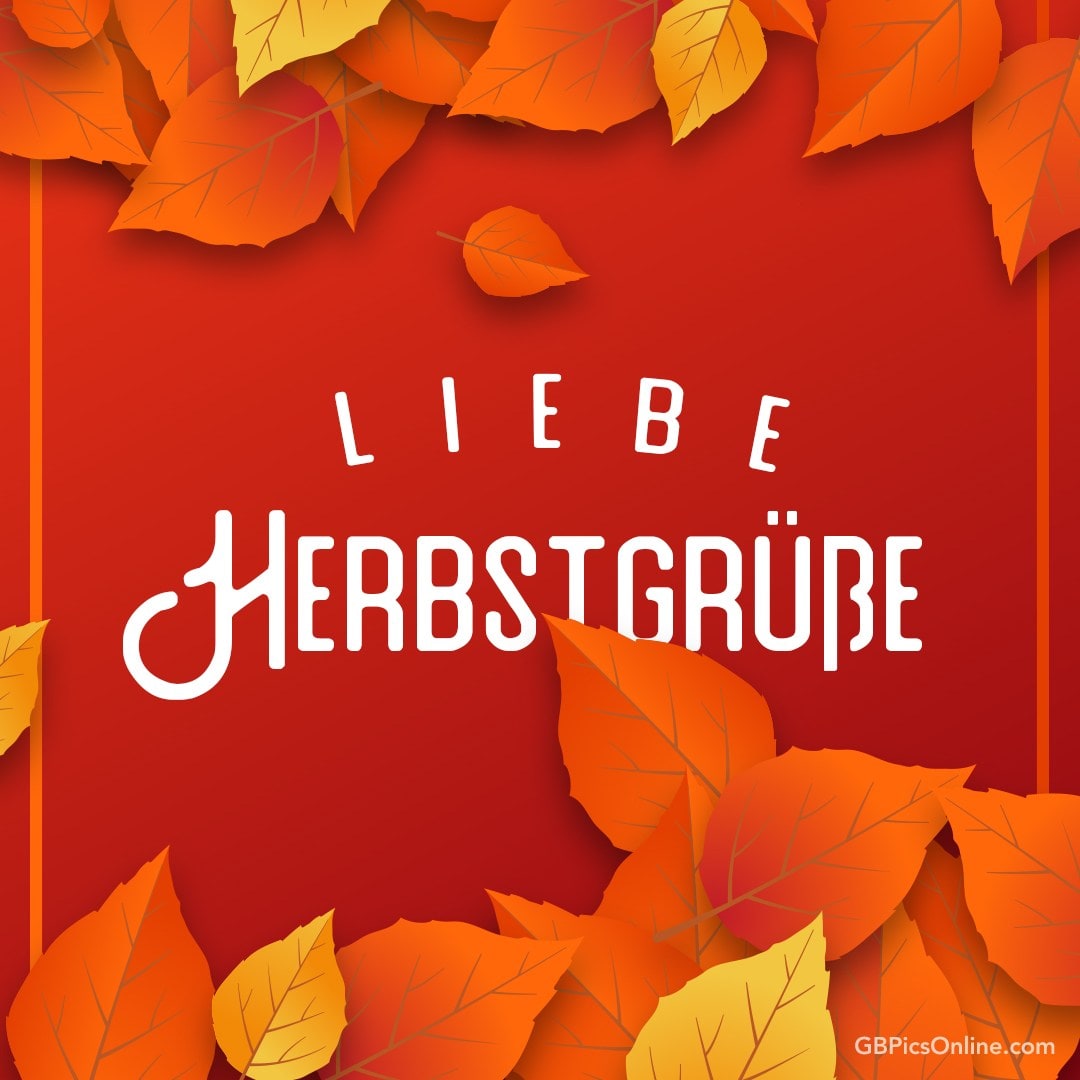 Orangerote Herbstblätter umrahmen den Schriftzug „Liebe Herbstgrüße“