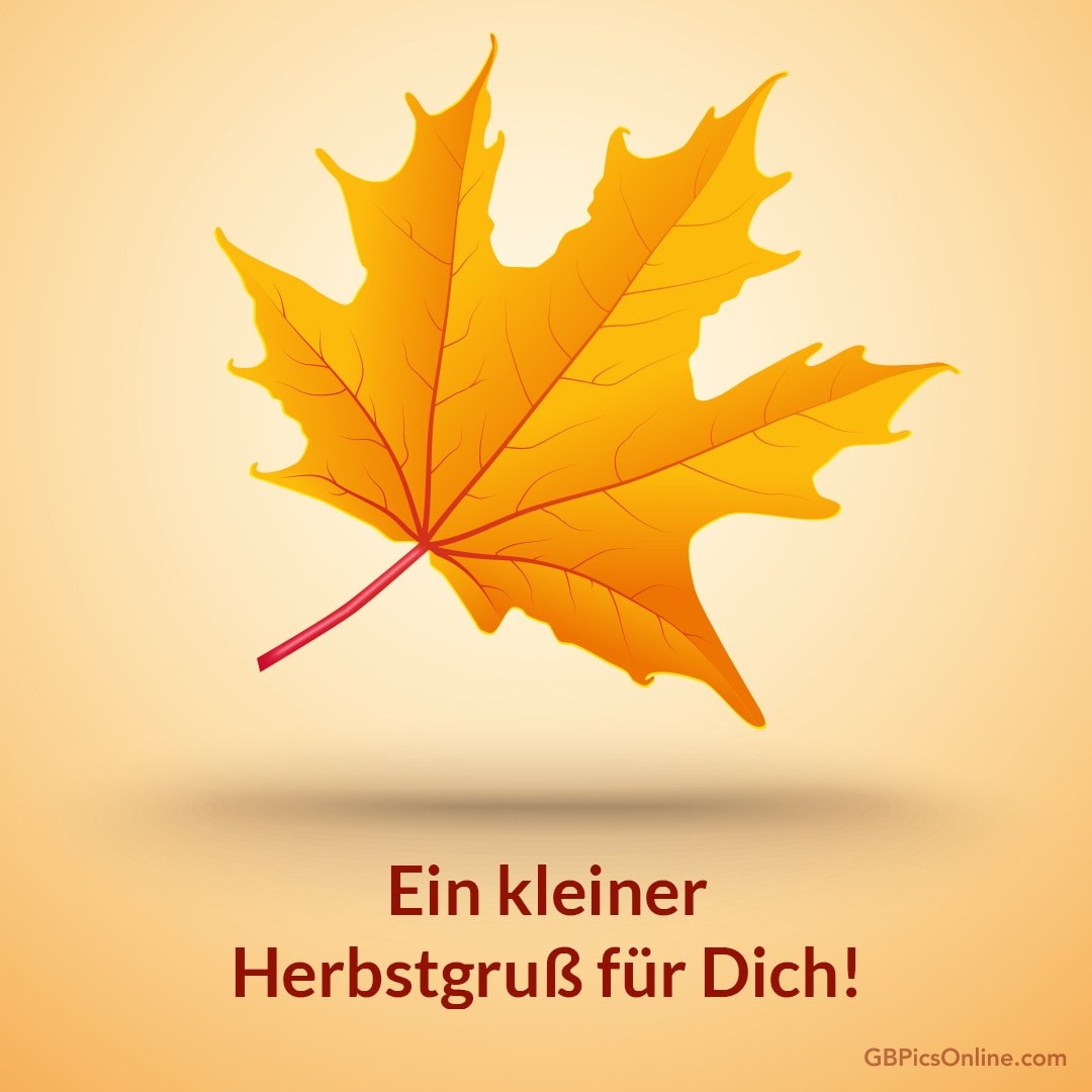 Ein orangefarbenes Ahornblatt mit der Aufschrift „Ein kleiner Herbstgruß für Dich!“