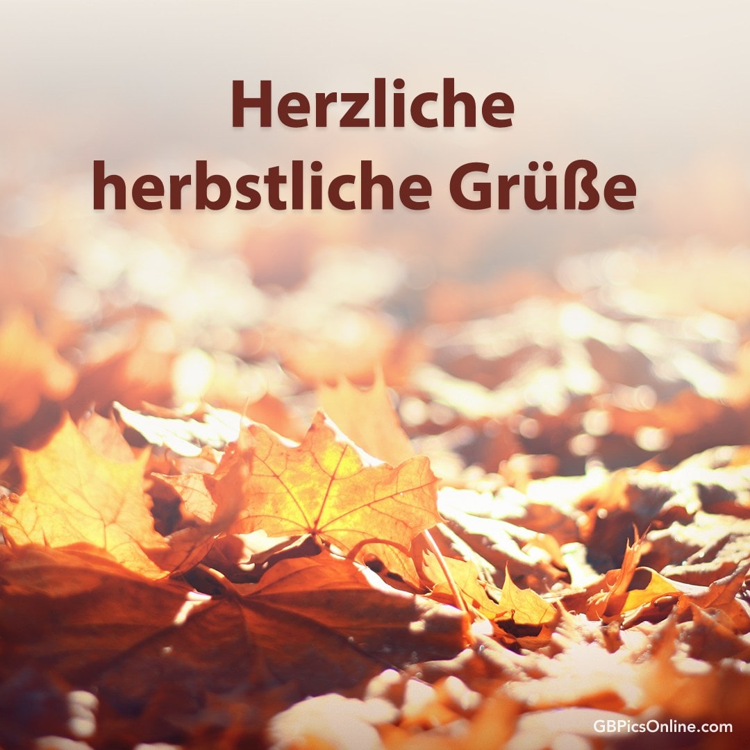 Goldene Herbstblätter mit Grußtext „Herzliche herbstliche Grüße“