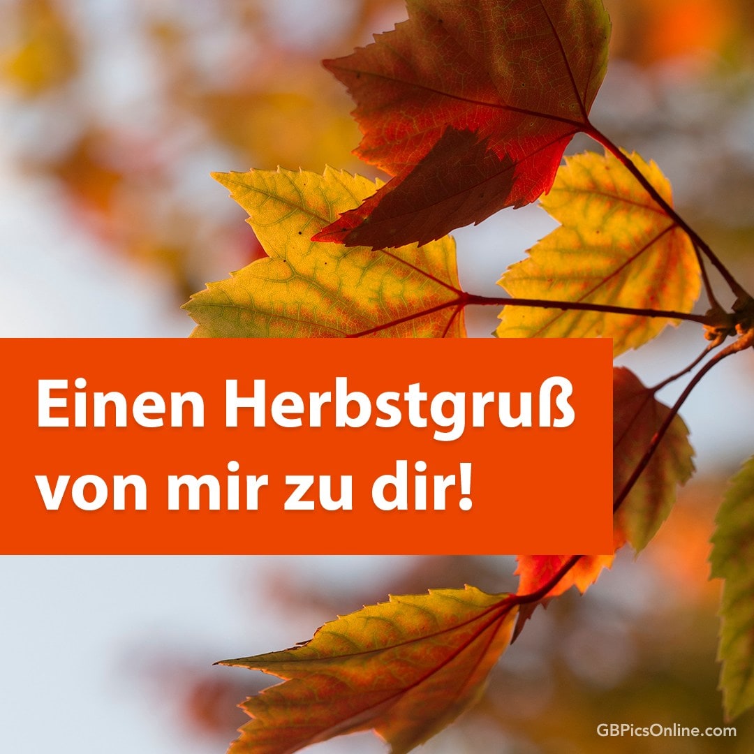 Bunte Herbstblätter mit Grußbotschaft „Einen Herbstgruß von mir zu dir!“