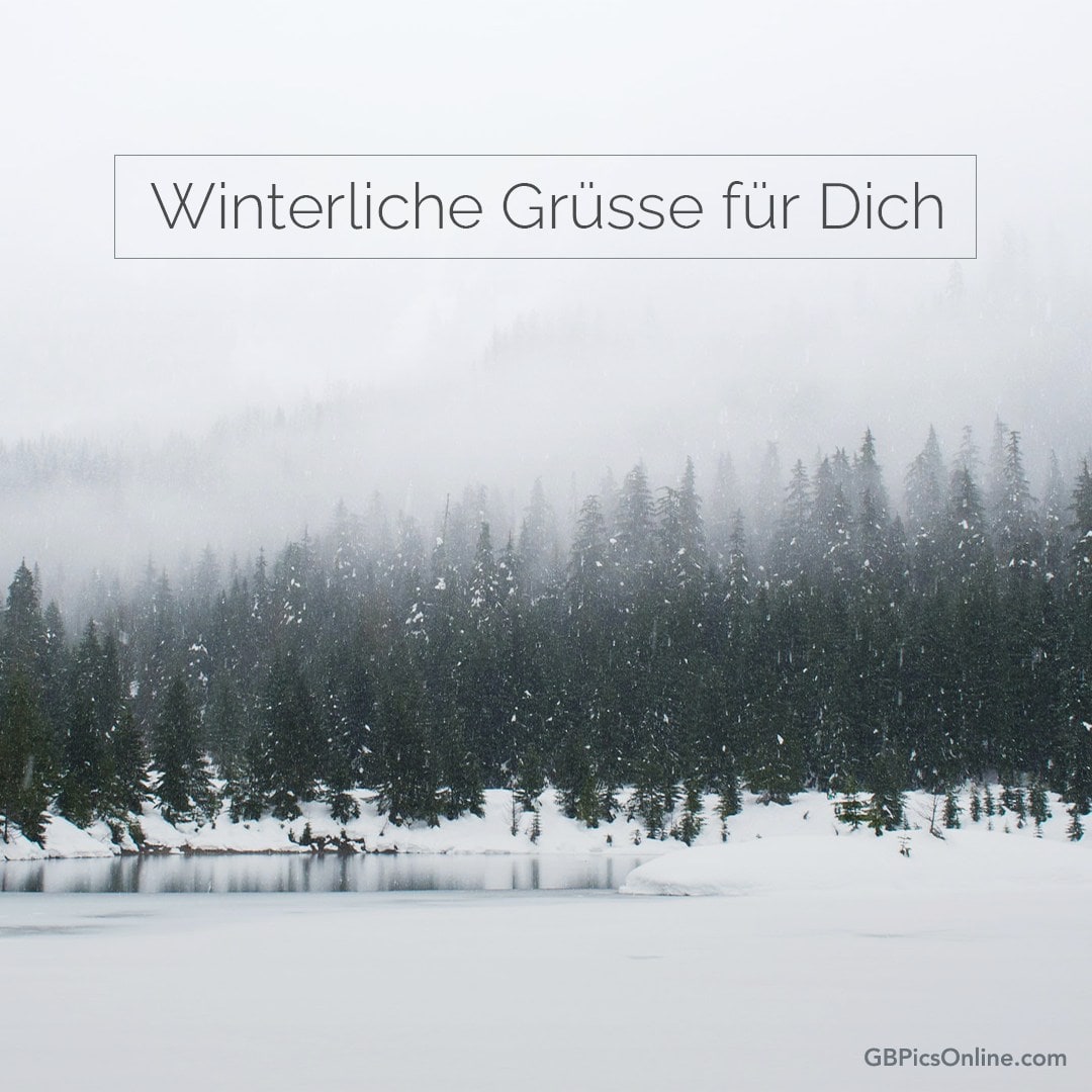 Winterlandschaft mit Schneefall und Bäumen. Text: „Winterliche Grüße für Dich“