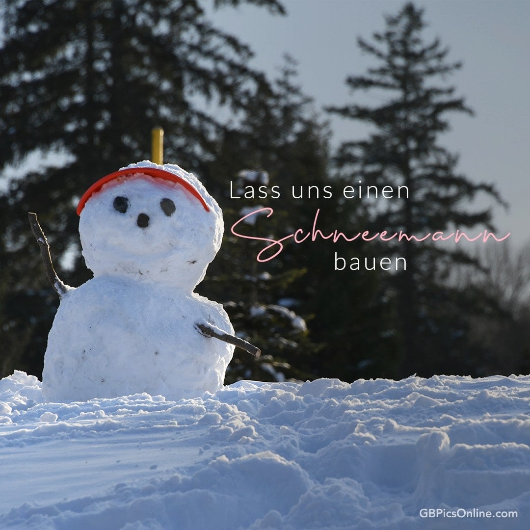 Ein Schneemann mit Hut und Astarmen, vor verschneiten Bäumen