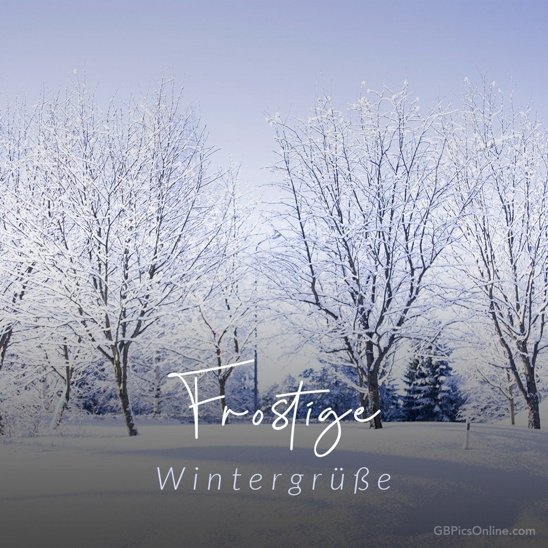 Bäume bedeckt mit Schnee, „Frostige Wintergrüße“ Text