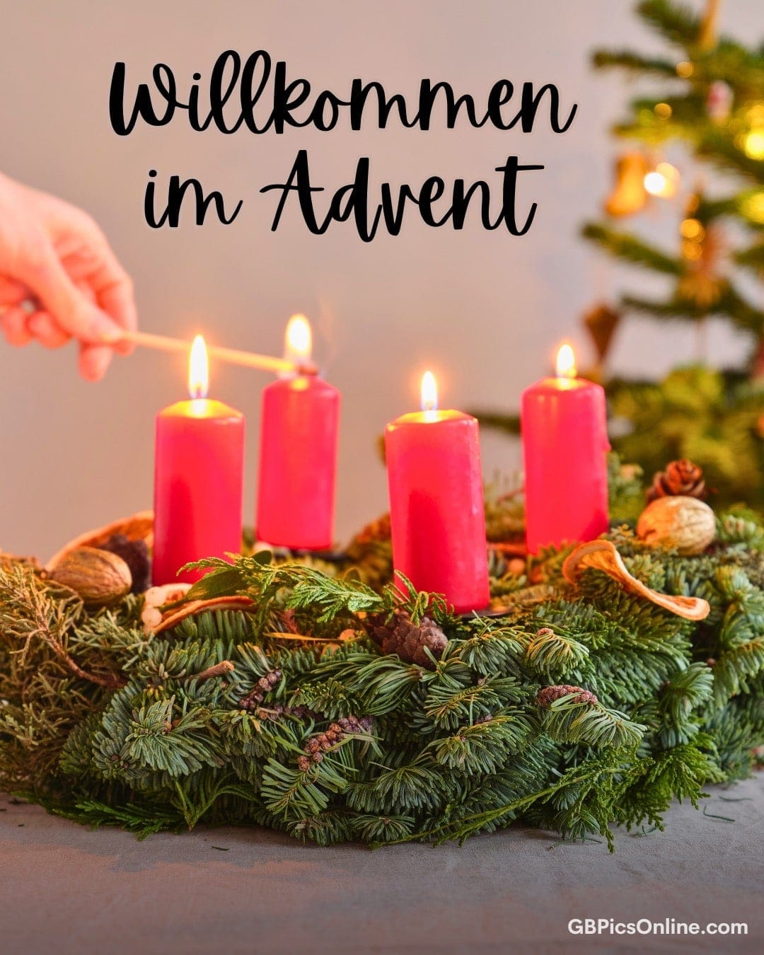 Eine Hand entzündet Kerzen auf einem Adventskranz