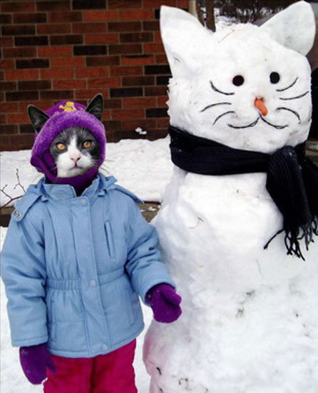 Katze in Menschenkleidung steht neben Katzen-Schneemann