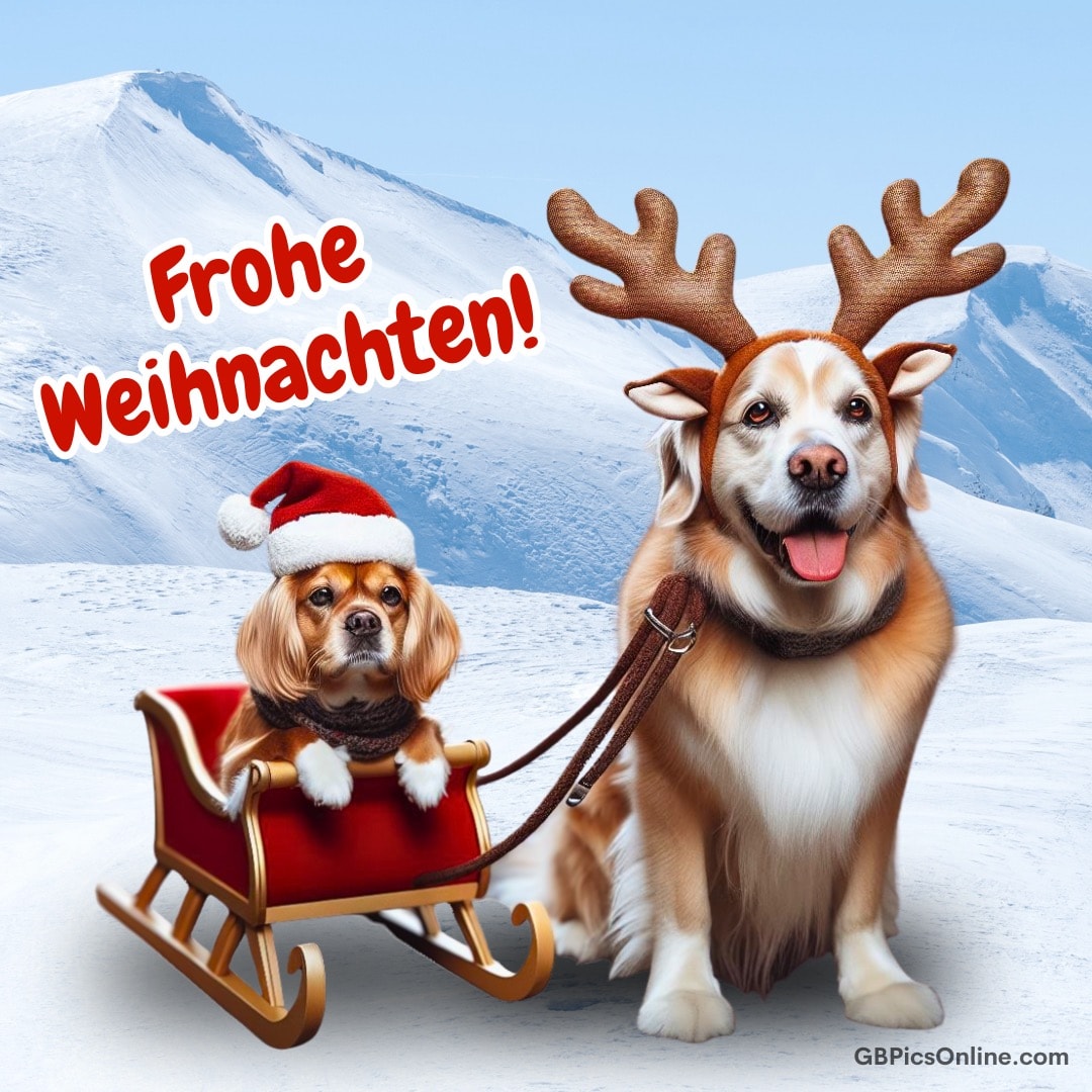 Zwei Hunde im Schnee, einer mit Geweih, der andere im Schlitten mit Nikolausmütze, Text: Frohe Weihnachten!