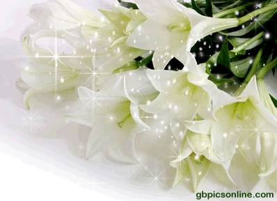 Glitzernde, weiße Tulpen