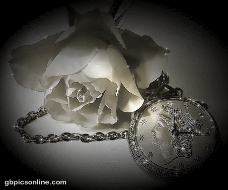 Weiße Rose liegt neben einer Taschenuhr
