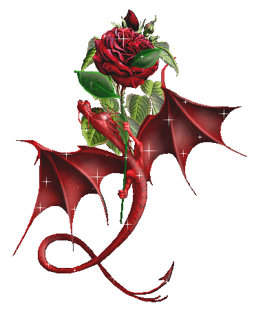 Die Rose des roten Drachen