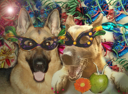 Hunde in Karnevallaune
