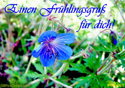 Einen Frühlingsgruß für dich! Frühling bild 18589