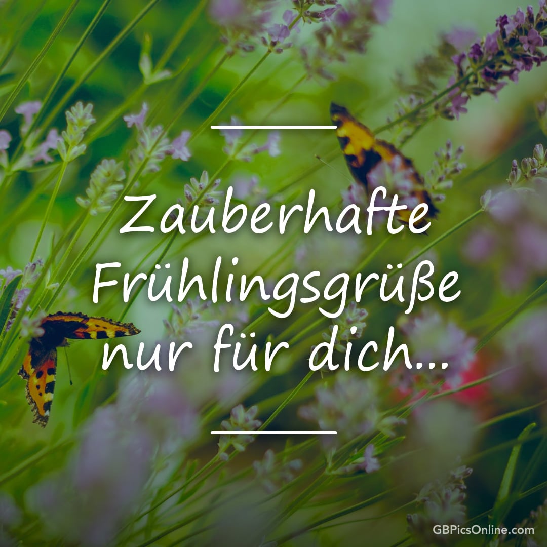 Blumen mit Schmetterling und Text „Zauberhafte Frühlingsgrüße nur für dich...“