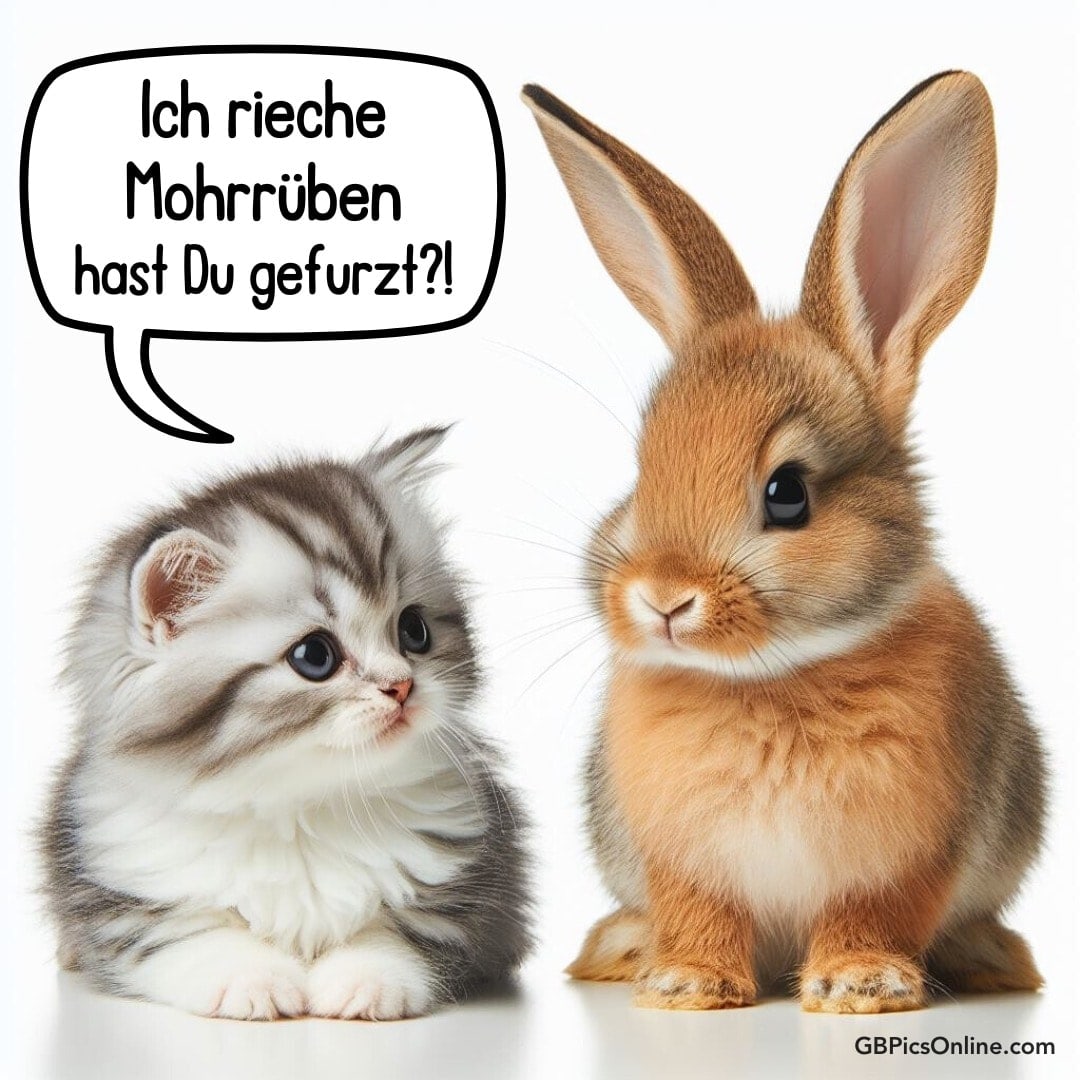 Eine Katze sagt zu einem Kaninchen: „Ich rieche Mohrrüben - hast Du gefurzt?!“