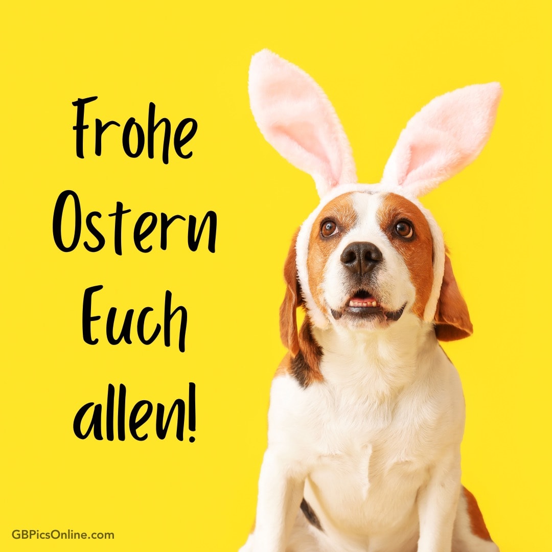 Ein Hund mit Hasenohren und dem Schriftzug „Frohe Ostern Euch allen!“ auf gelbem Grund