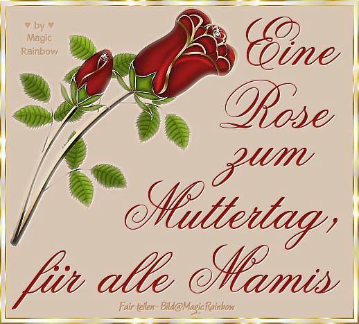 Eine Rose zum Muttertag, für alle Mamis.