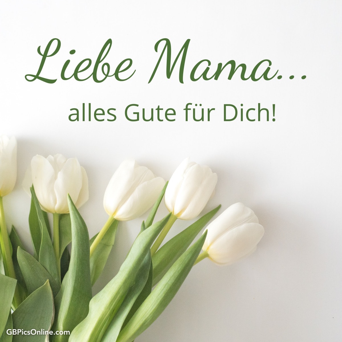 Weiße Tulpen und die Worte „Liebe Mama... alles Gute für Dich!“ auf hellem Hintergrund