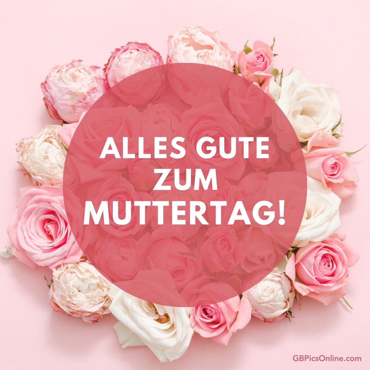 Rosen und Text „Alles Gute zum Muttertag!“ auf rosa Hintergrund