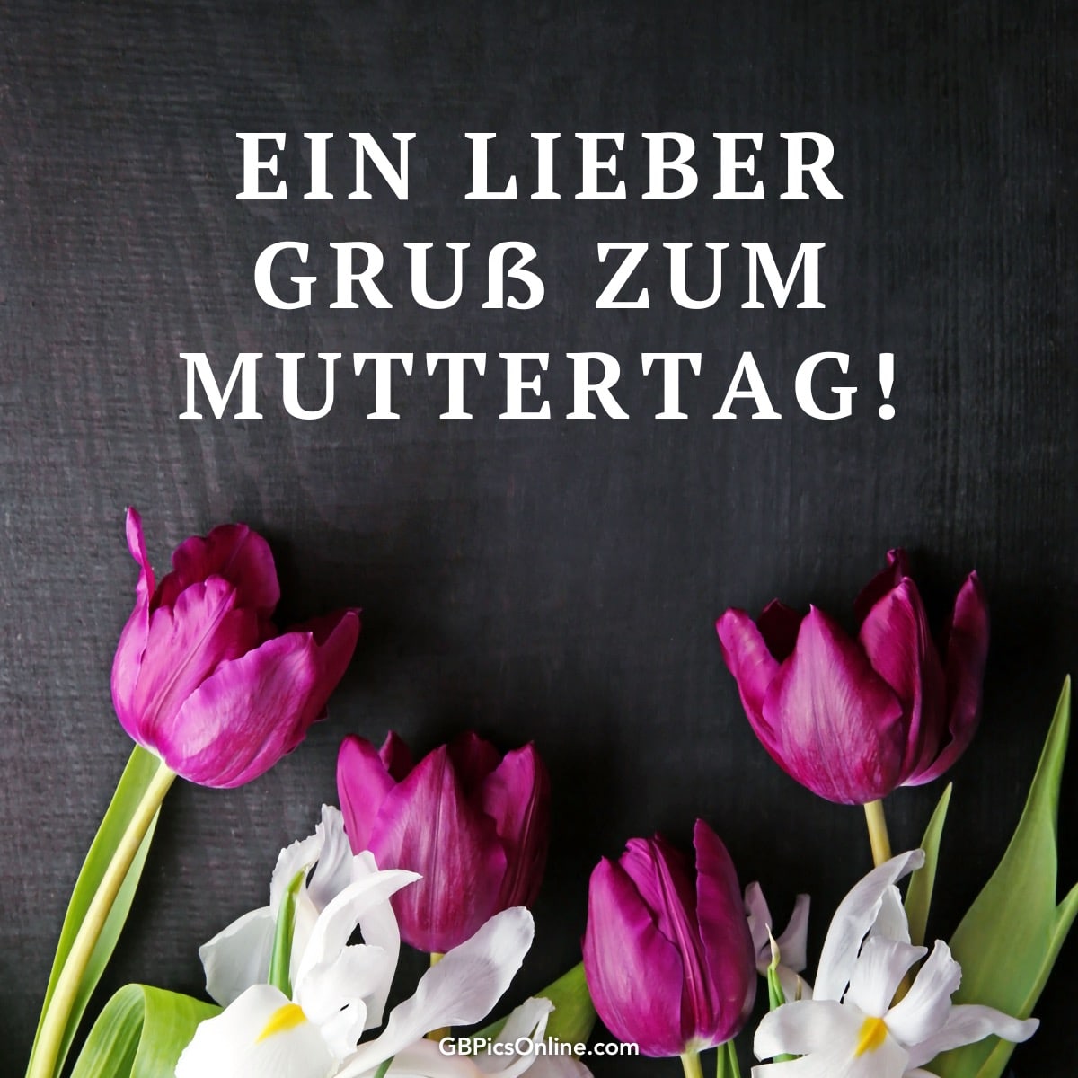Lila und weiße Blumen mit dem Text „Ein lieber Gruß zum Muttertag!“ auf dunklem Hintergrund