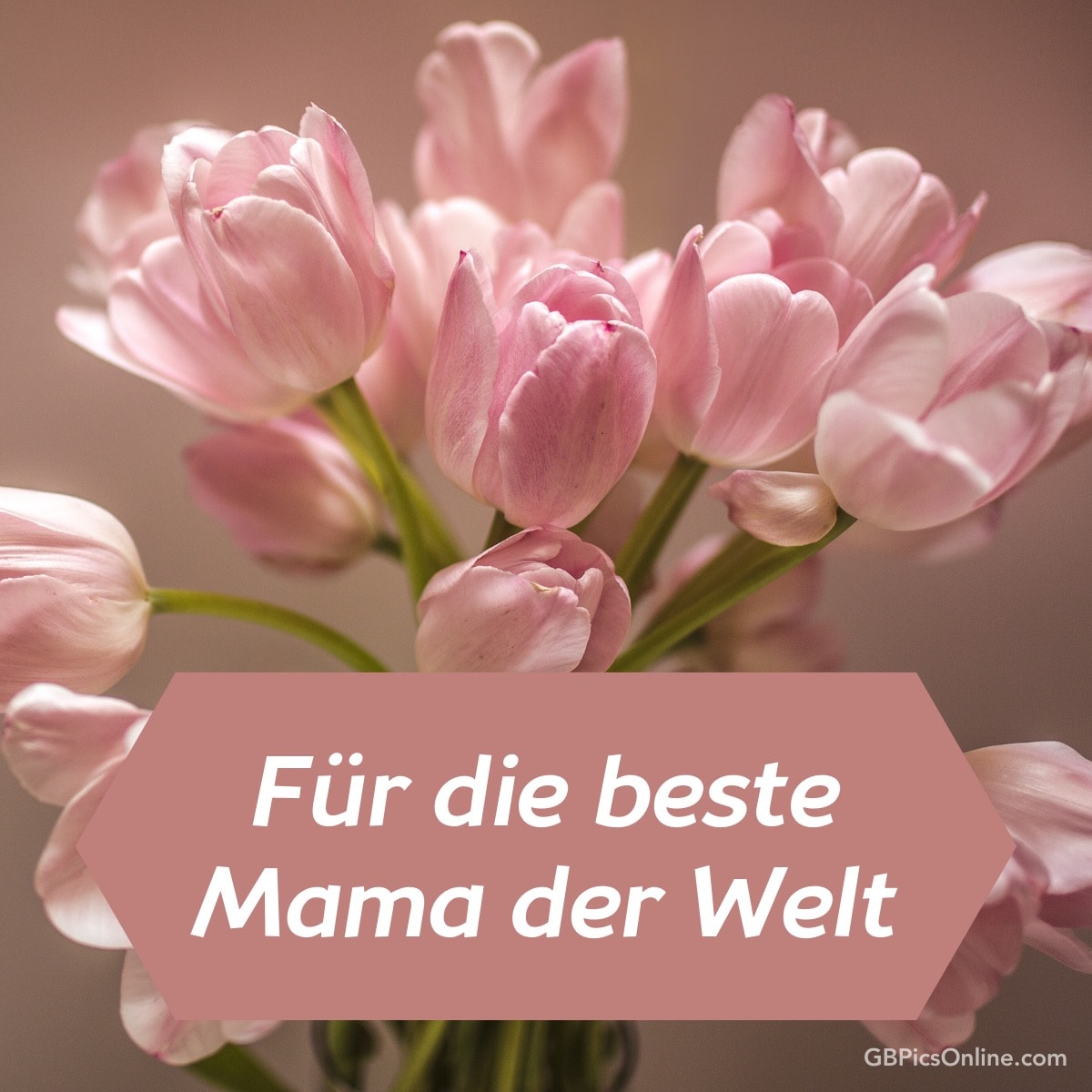 Rosa Tulpen mit Text: „Für die beste Mama der Welt“