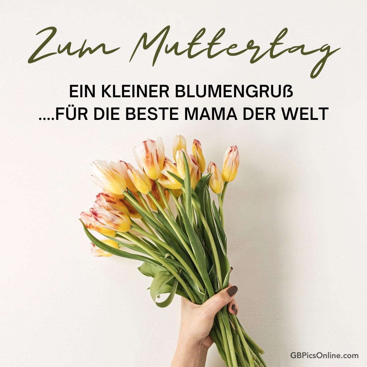 Zum Muttertag: Blumengruß für die beste Mama. Hand hält Tulpen auf hellem Hintergrund