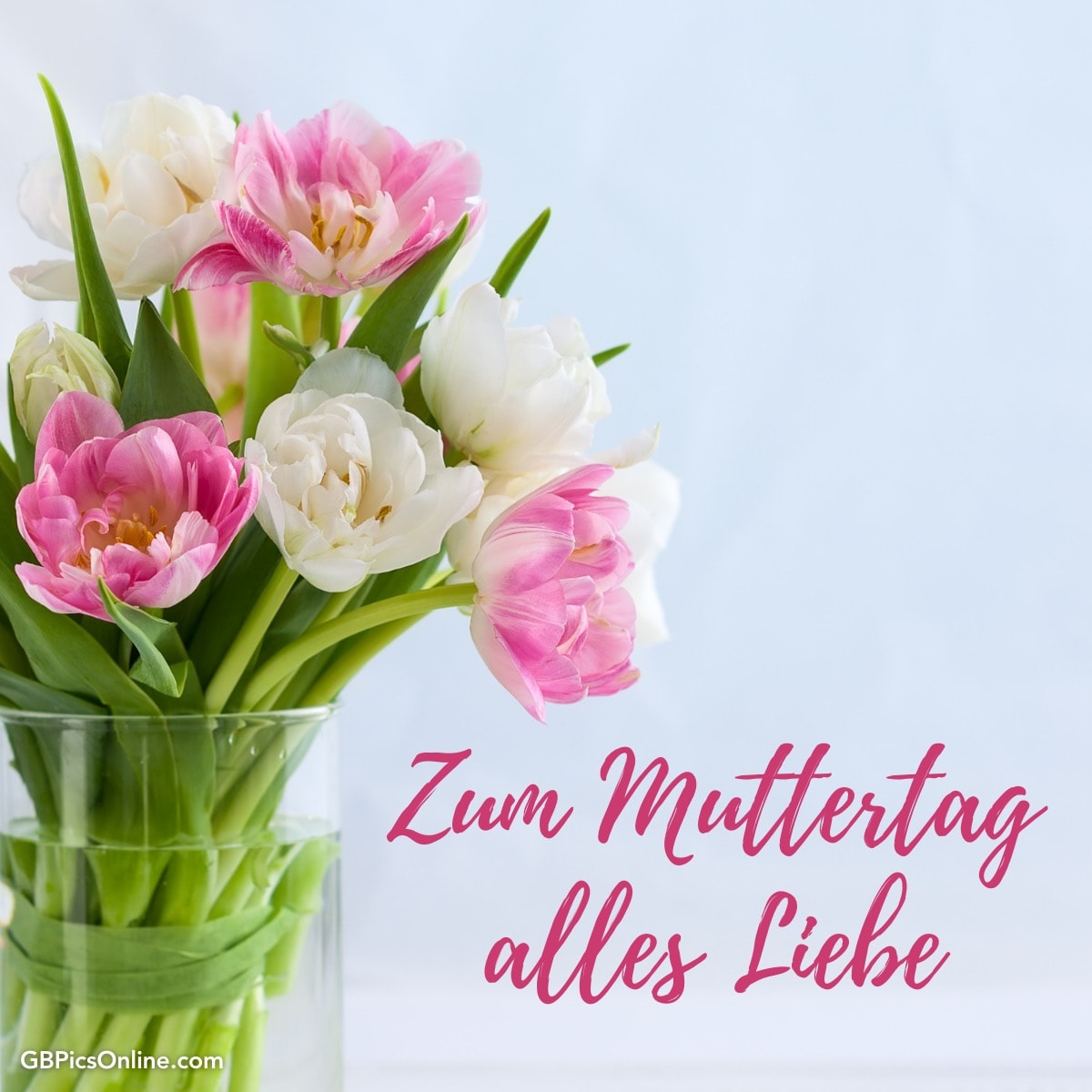 Ein Strauß Tulpen mit „Zum Muttertag alles Liebe“ Schriftzug