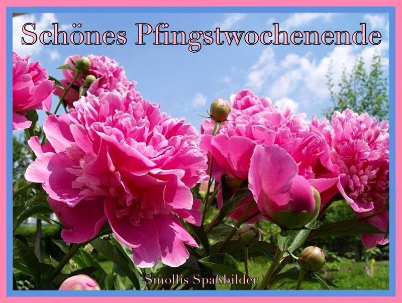 Pfingsten Bilder F r Whatsapp Und Zum Teilen GBPicsOnline