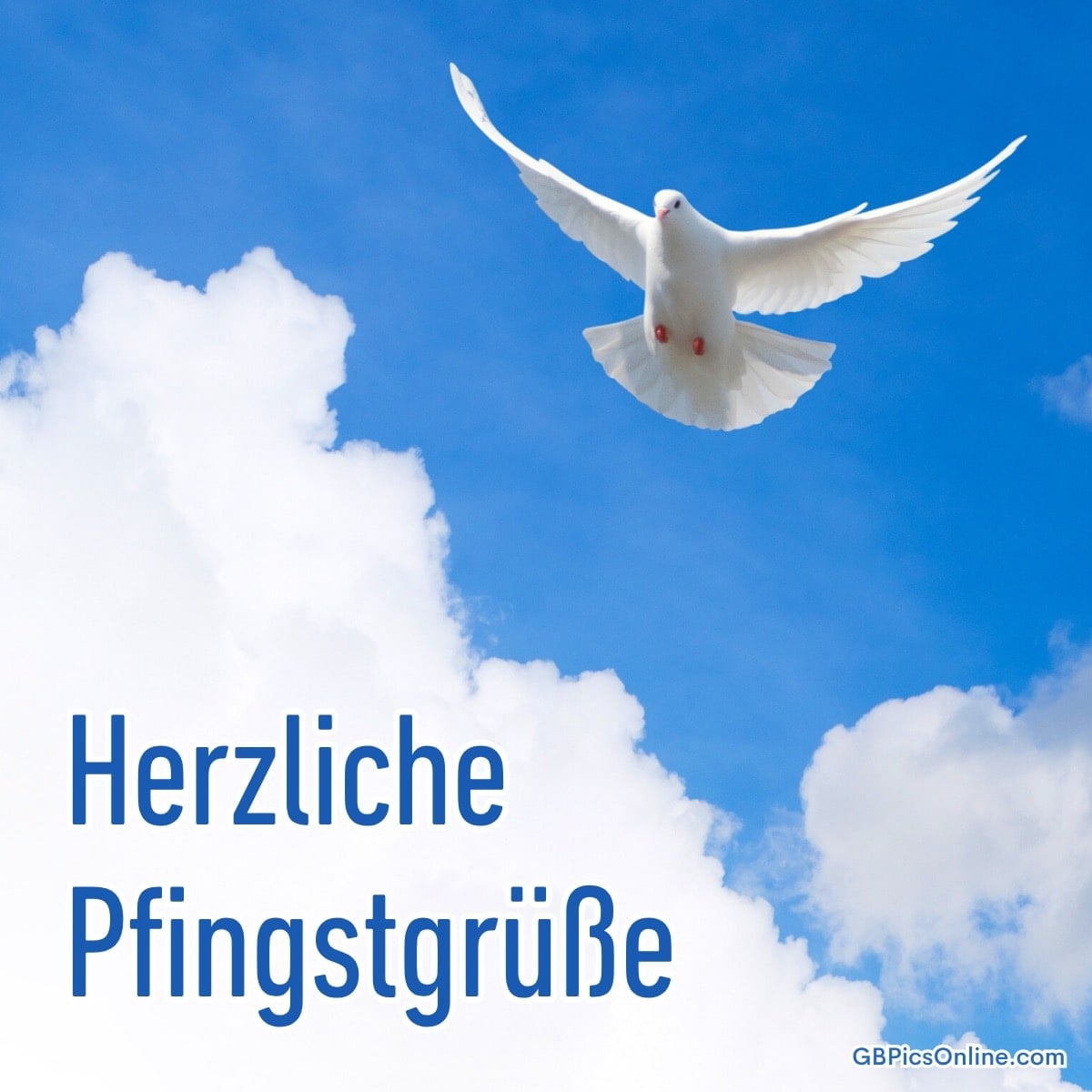 Eine weiße Taube fliegt vor blauem Himmel mit Wolken, daneben steht der Text: „Herzliche Pfingstgrüße“